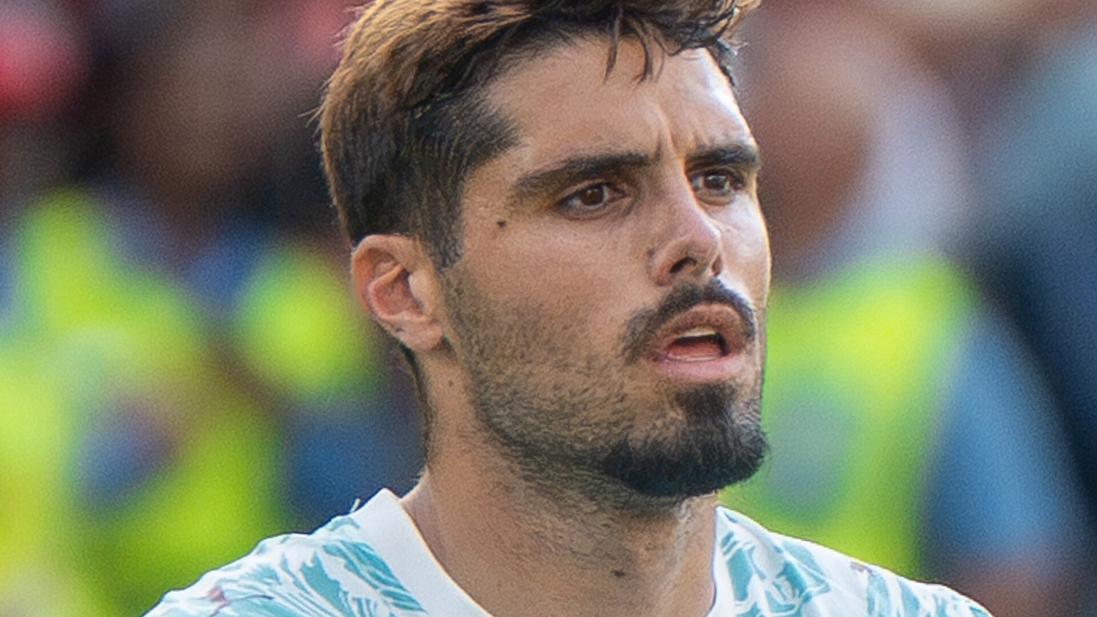 Pedro Neto